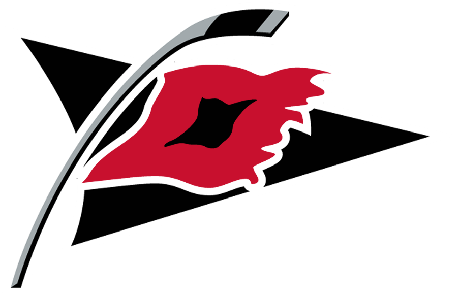 Carolina Hurricanes 1999-2018 Alternate Logo iron on heat transfer